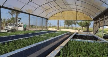 محطة بحوث الصحراء بسيناء.. منارة علمية لتنمية الأراضي المقدسة